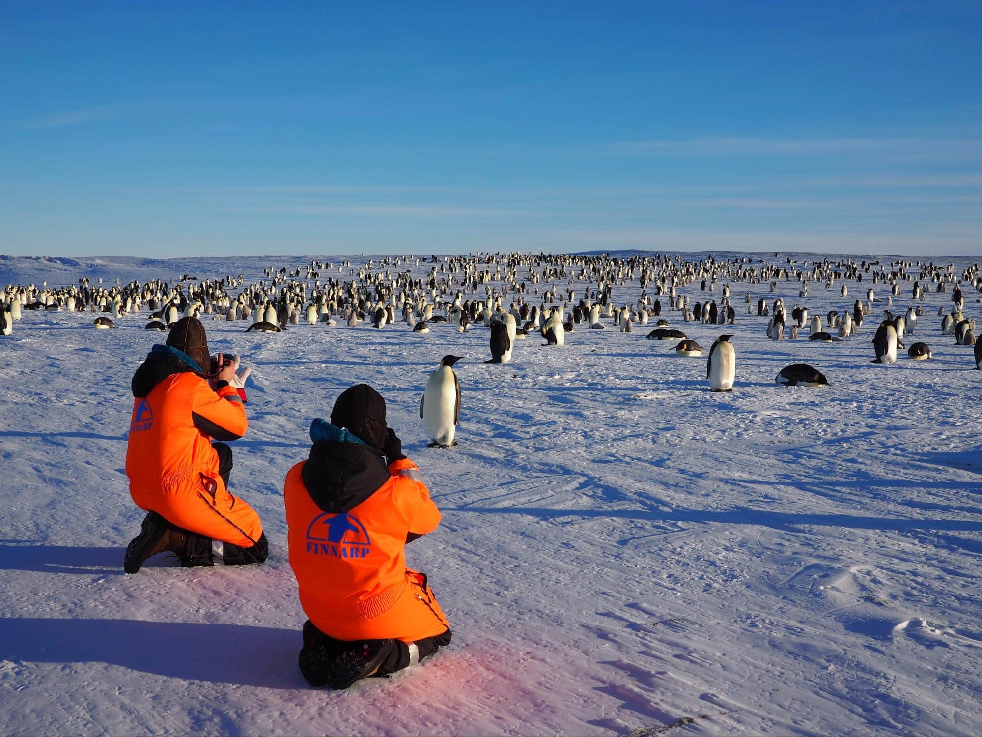 Pingviinit: Sari Matilainen / FINNARP